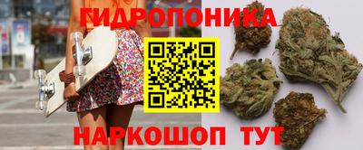 мяу мяу мука Пушкино